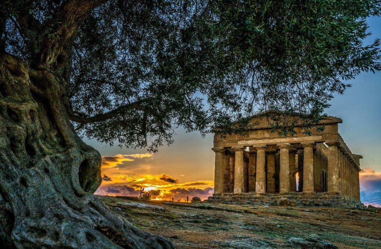 Sicilia Case Vacanze Balestrate Eksteriør bilde